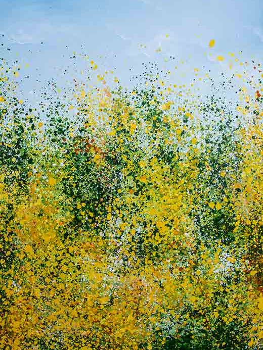 Rapsfrømark | Anna Brandt - XL for engroshandel hos Inzpero