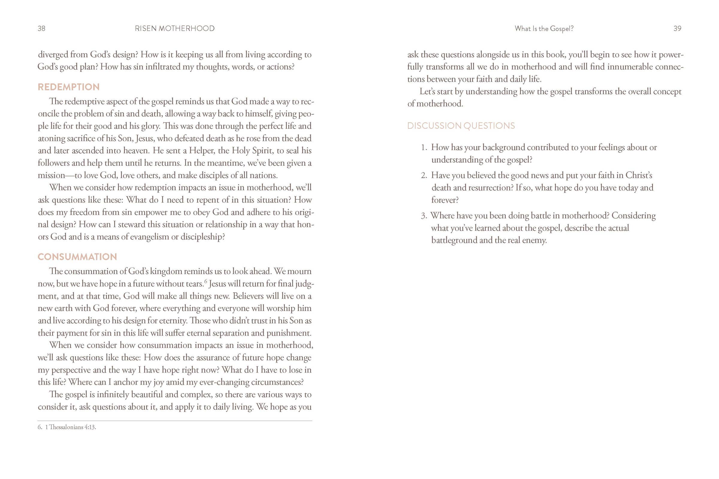 Harvest House Publishers Gift & Specialty Books - Wholesale Family & Relationships Book - Risen Motherhood5