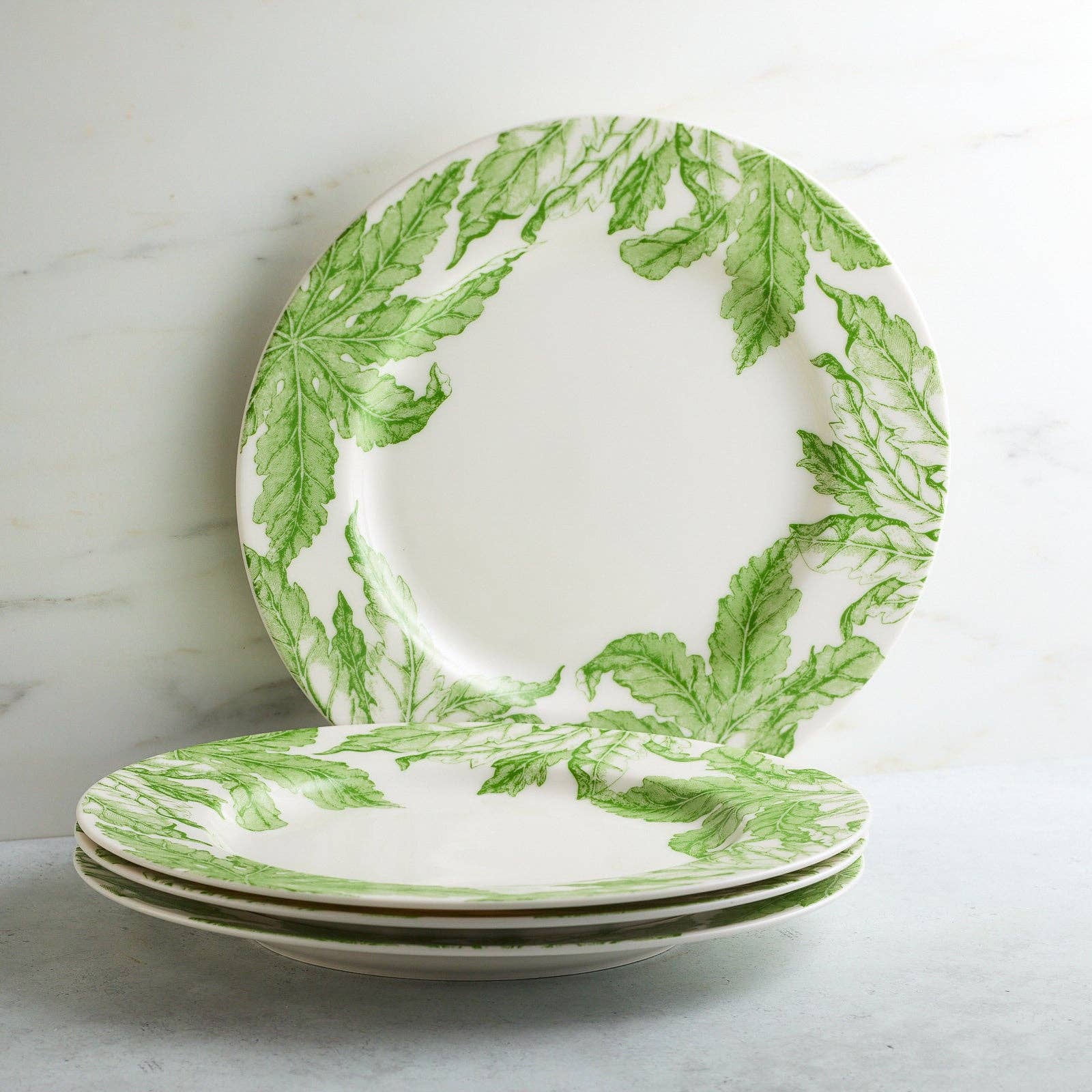Caskata - Wholesale Dinner Plate - Freya Rimmed Dinner Plate7