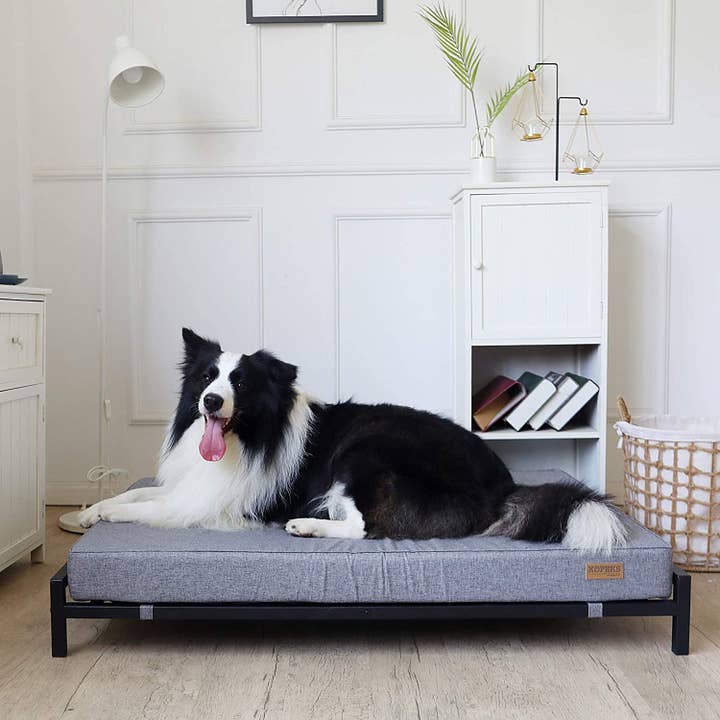 Kopeks – Großhandel Haustierbett – Hund – Erhöhtes Hundebett mit orthopädischer Schaummatratze