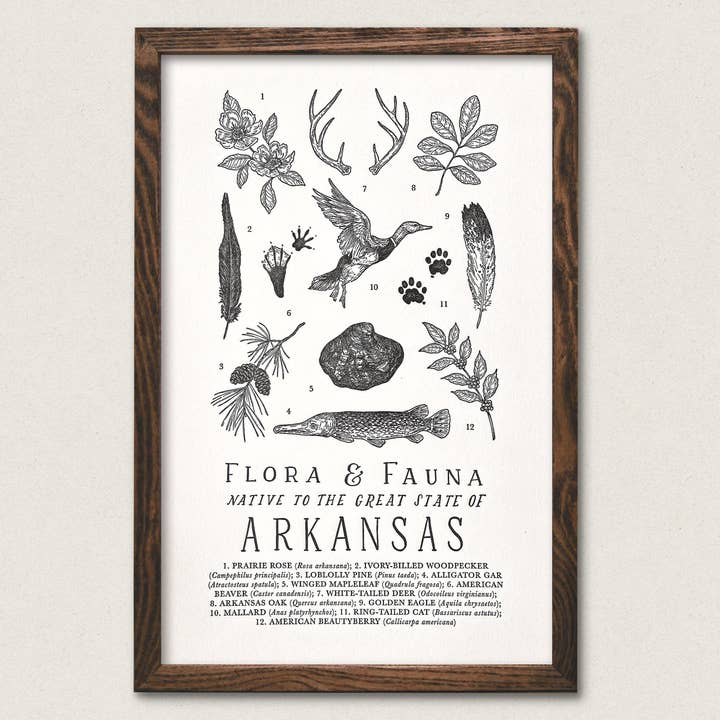 Arkansas Field Guide for wholesale by The Wild Wander