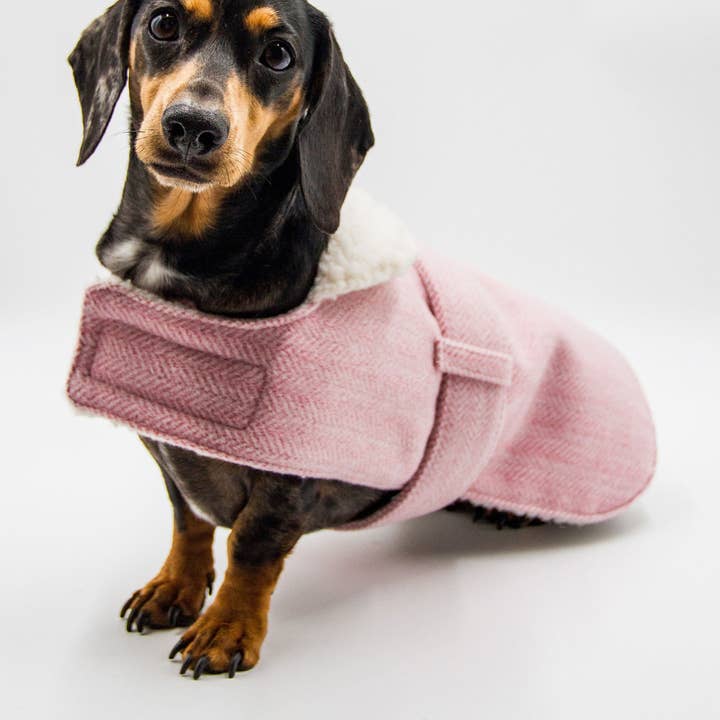 Winter Dog Coat: LUXE Rose Tweed for wholesale by Little Ellie Boutique
