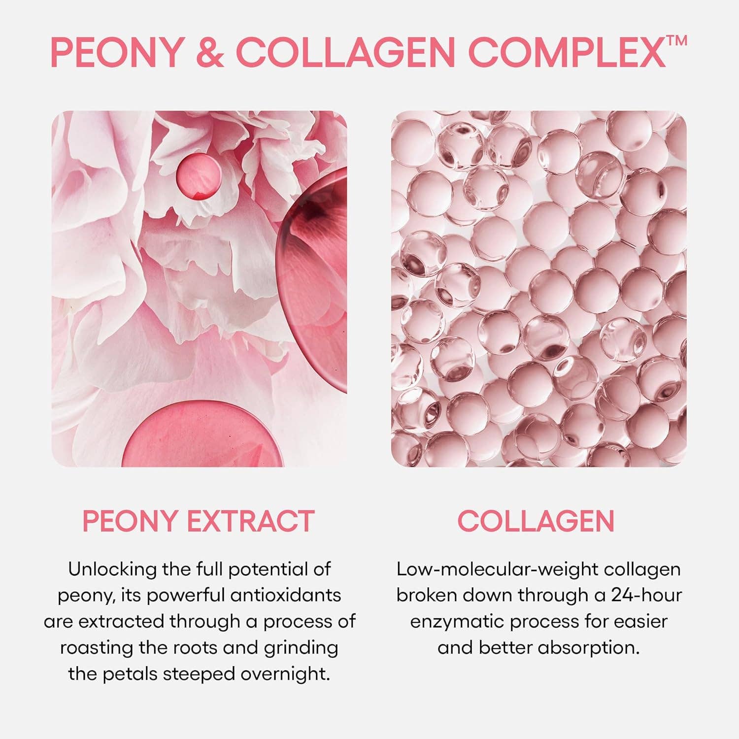 Best Beauty Group - Wholesale Eye Treatment Mask - LANEIGE Bouncy & Firm Eye Sleeping Mask Mini 3