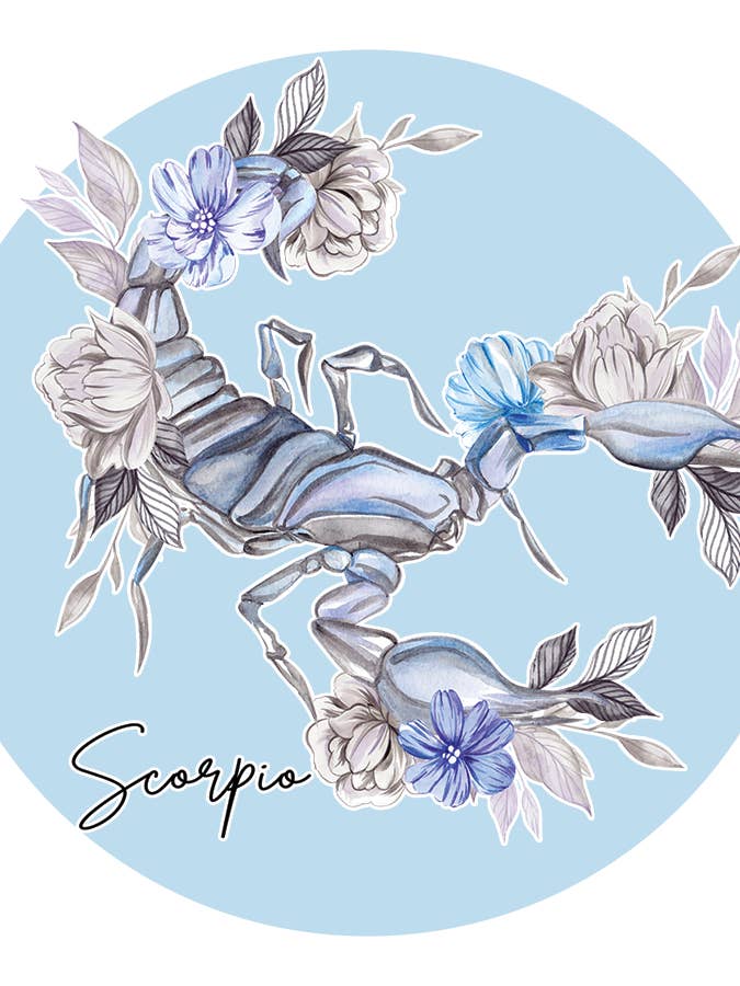 AUTOCOLLANT ZODIACAL AQUARELLE SCORPION pour la vente par Soraya Moon Co.