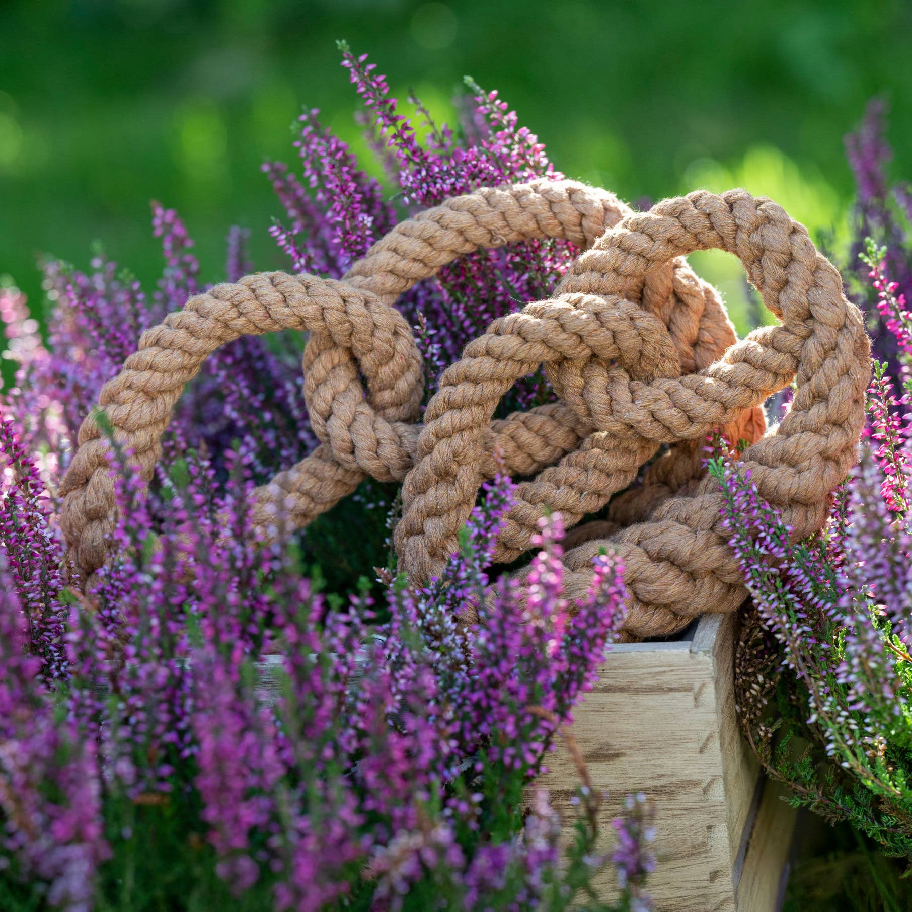 LABONI - Volentis GmbH - Wholesale Pet Rope Toy - Dog - BRITTA BREZEL – Iconic Shape, Smart Play9