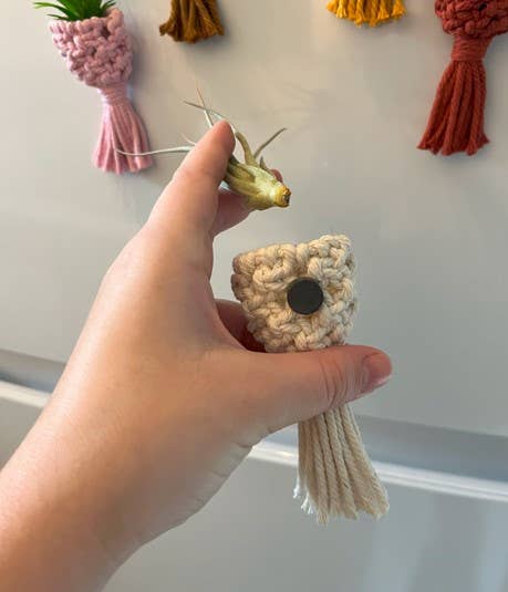 Nashville Macrame - Wholesale Hanging Planter - Macrame Air Plant Holders 3