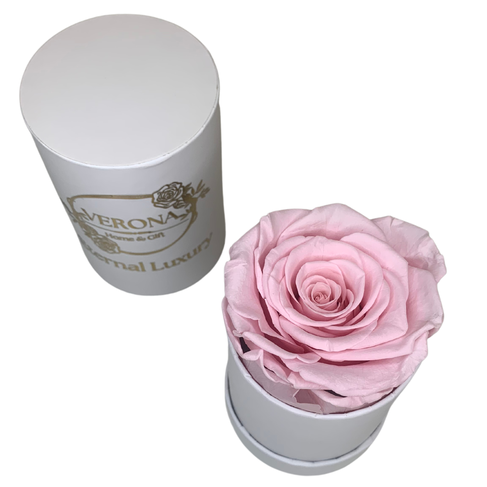 verona home and gift - Wholesale Dried/Pressed Flowers - Real Preserved Roses that Last Forever 43