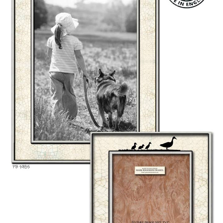 Moldura de Fotos da Família Duck de 1985. por atacado de Gator cards