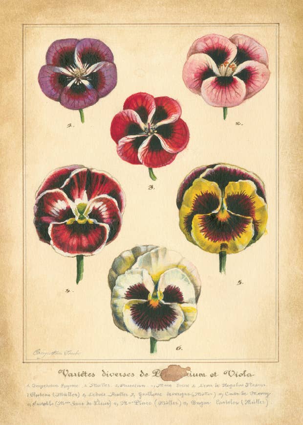 Bomo Art Budapest - Wholesale Everyday Greeting Card - Greeting Card + Envelope50