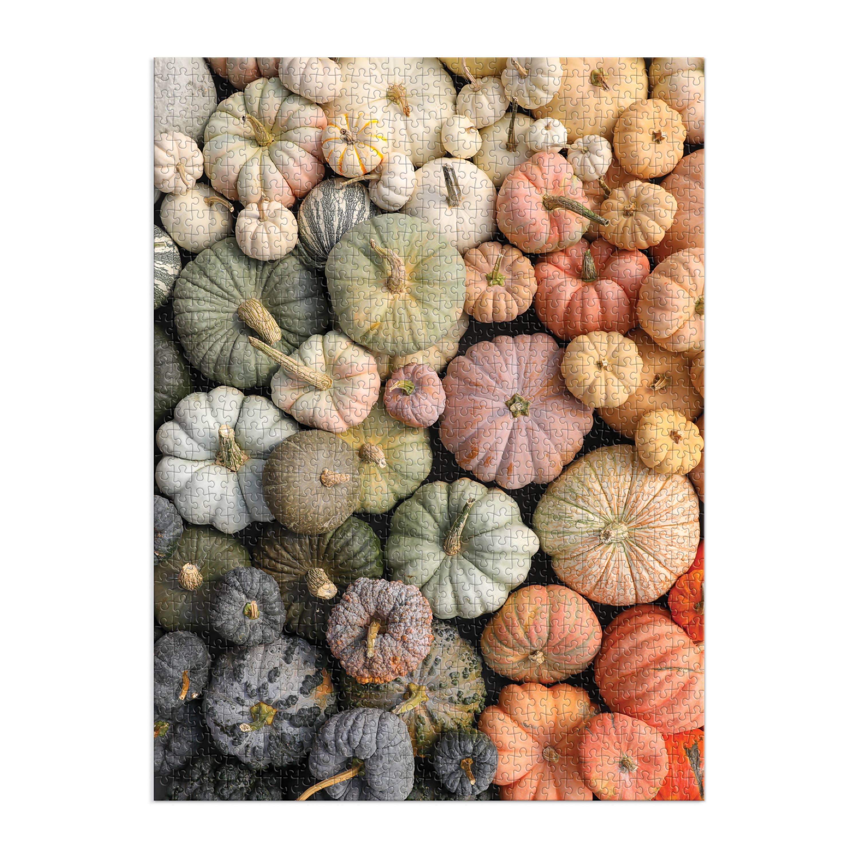 Chronicle Books - Wholesale Puzzle - Adult - Heirloom Pumpkins 1000 Piece Puzzle in Square Box1