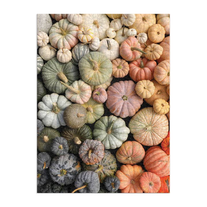 Chronicle Books - Wholesale Puzzle - Adult - Heirloom Pumpkins 1000 Piece Puzzle in Square Box1
