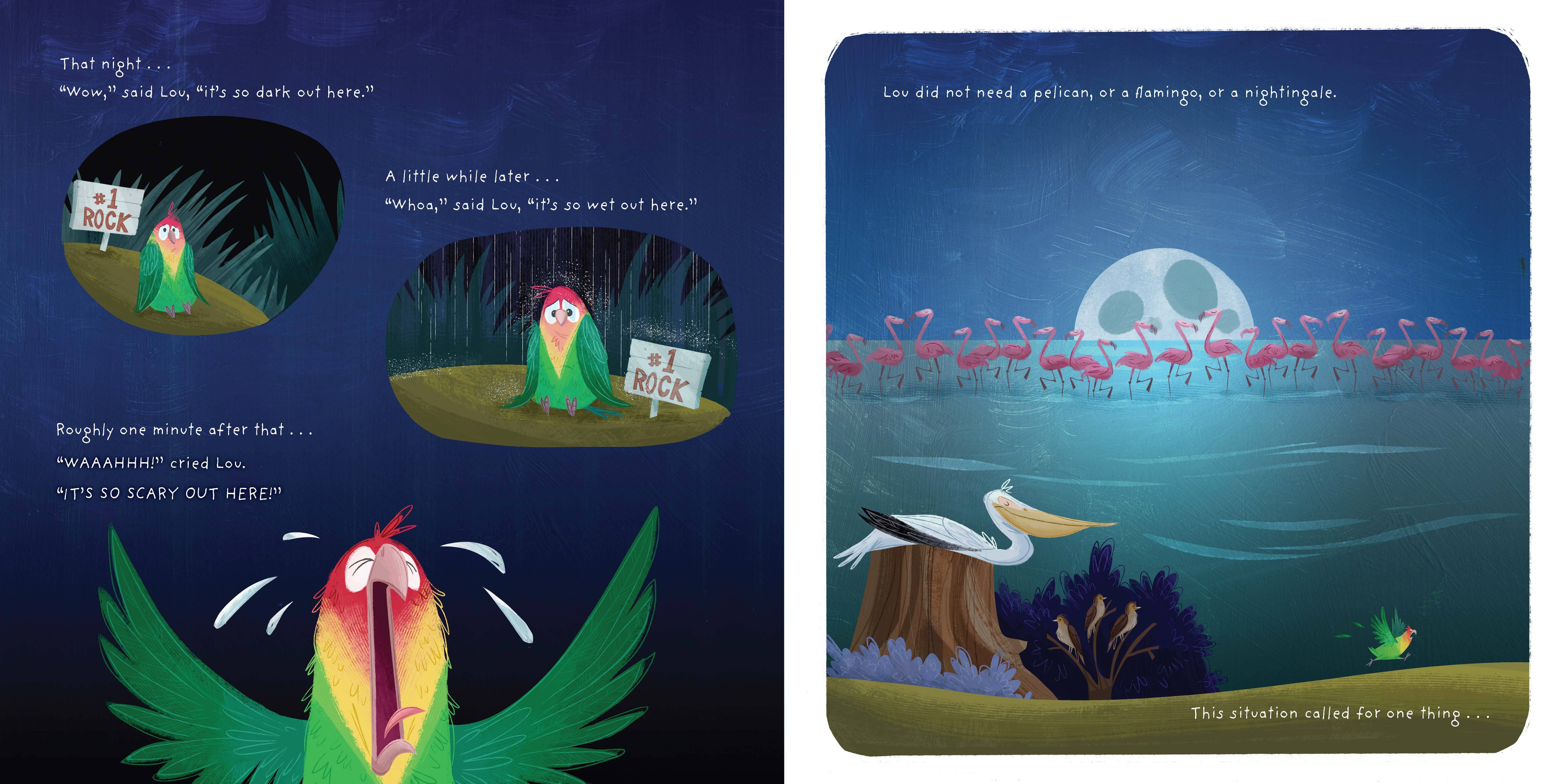 Hachette Book Group - Wholesale Preschool Book (3-5) - Lovebird Lou by Tammi Sauer4