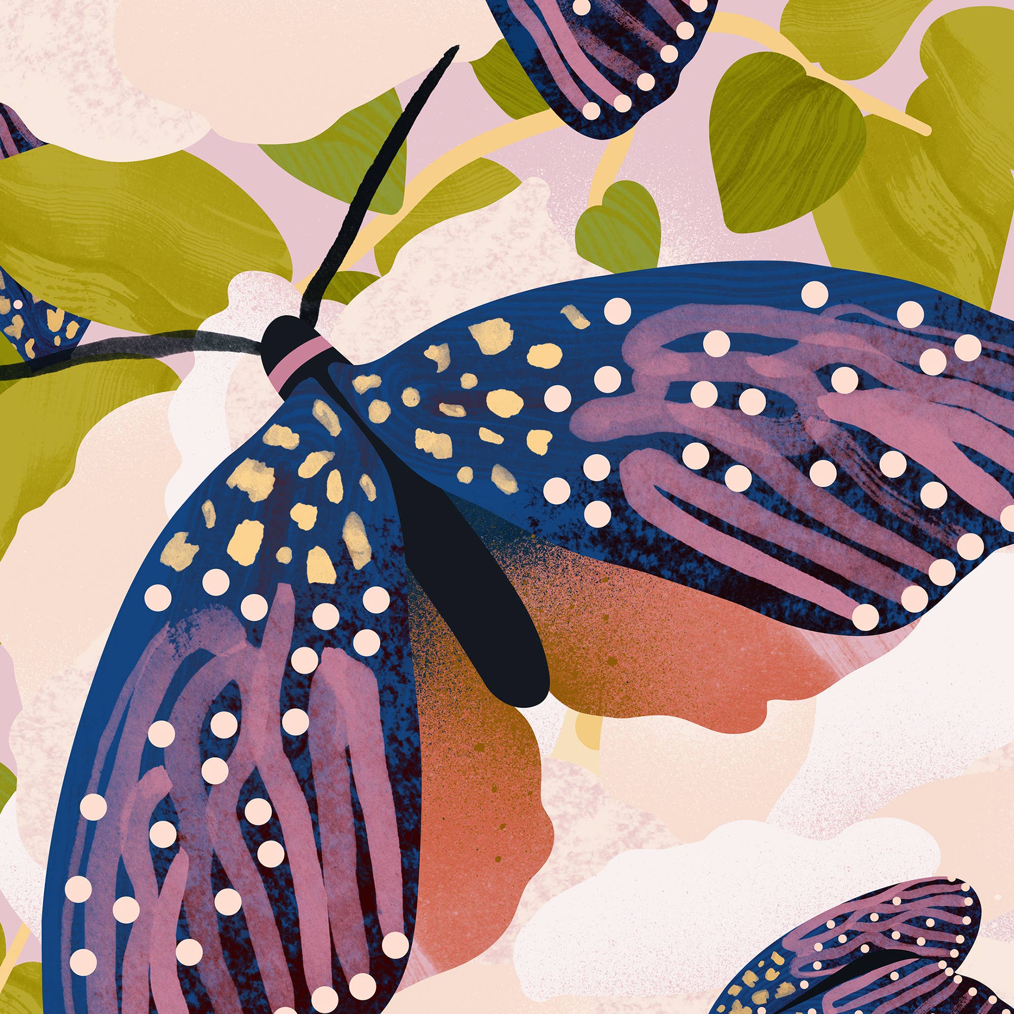 Nat Carroll - Wholesale Art Print - Moths and the Moon — Art Print, Animal Wall Art3