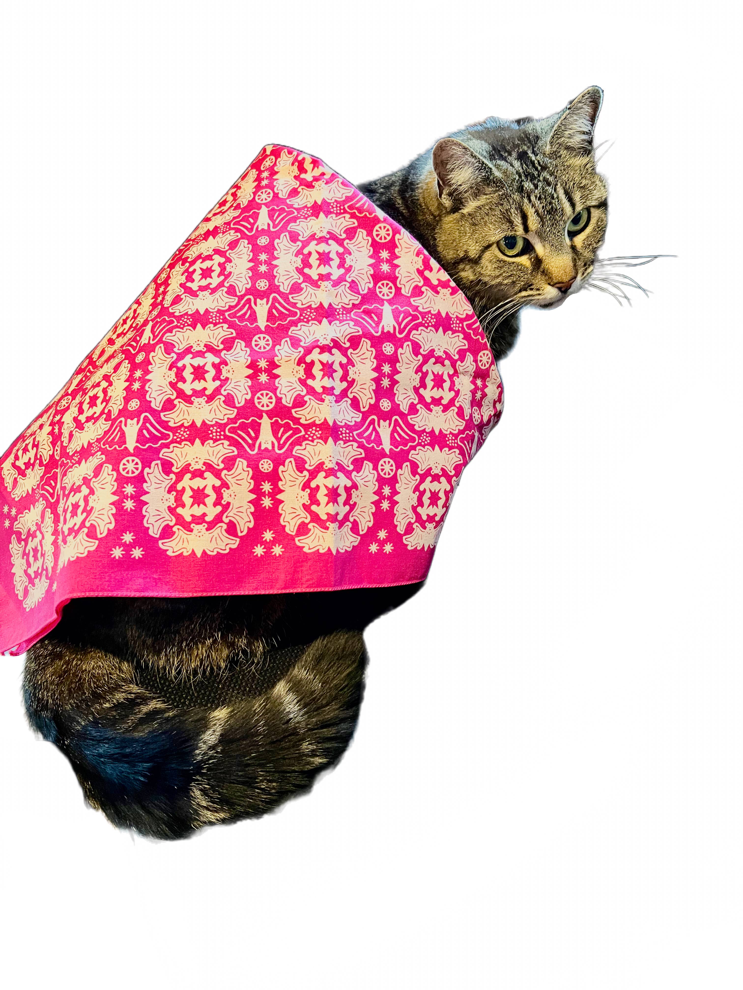 Morning Paper dot Design - Wholesale Bandana - Unisex - Bat Design on Hot Pink Cotton Bandana3