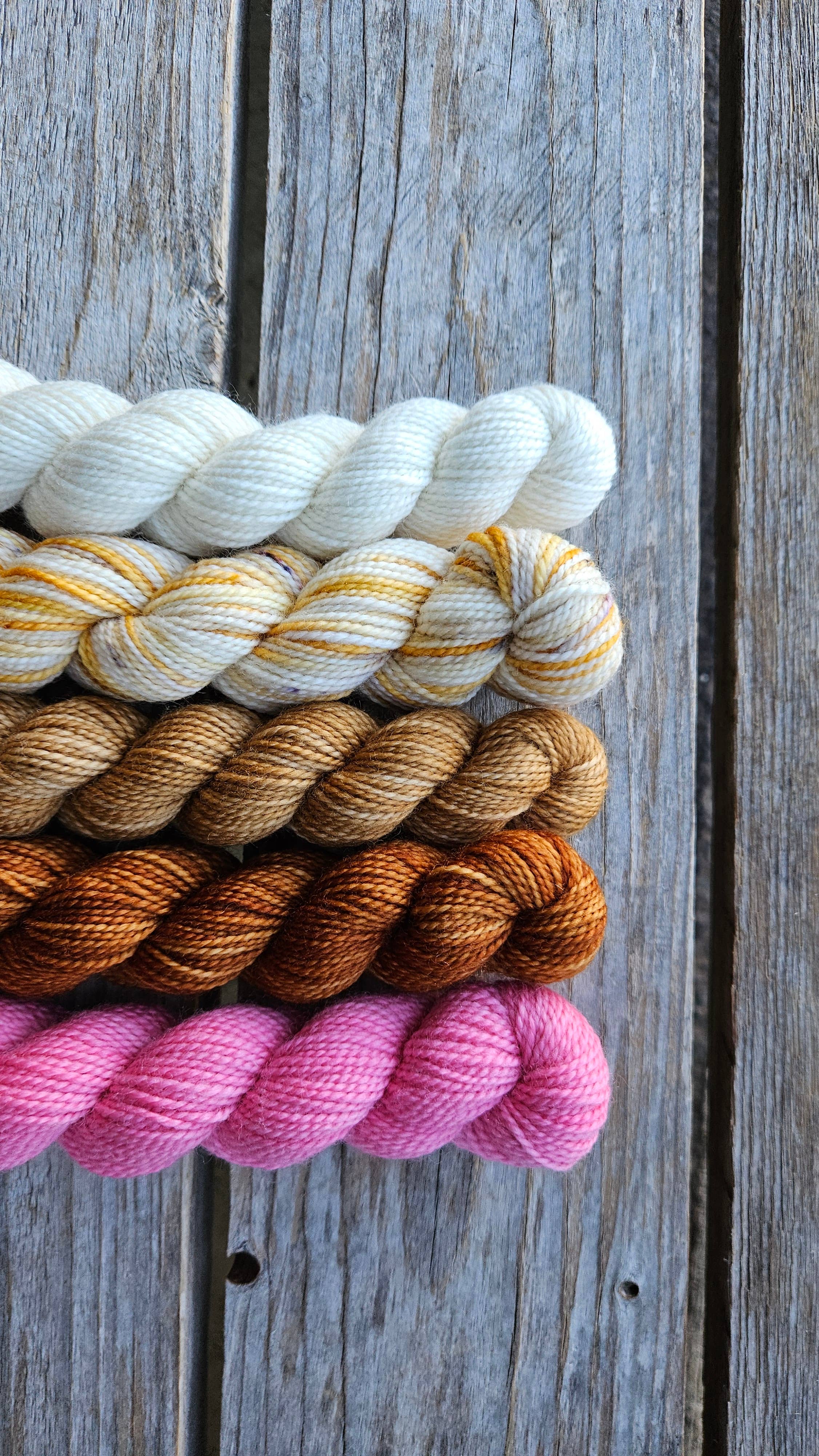 Koigu Wool Designs – wholesale Yarn – Holiday Paint Cans6