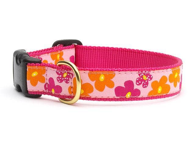 Up Country, Inc. - Wholesale Pet Collar - Dog - Flower Power Dog Collar