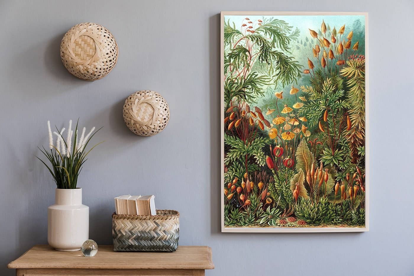 Esque - Wholesale Poster - Poster Ernst Haeckel - Muscinae1