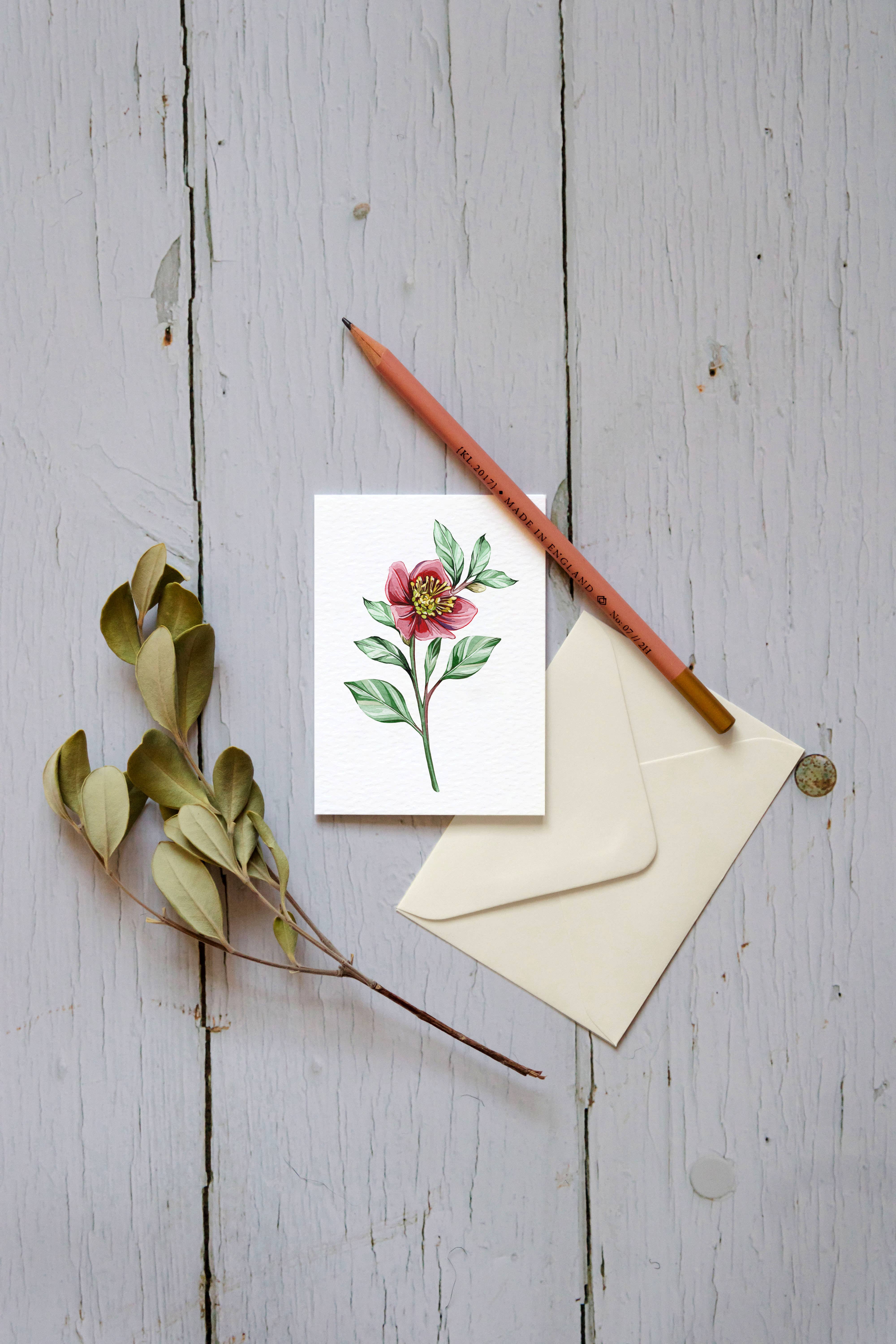 Sophie Brabbins - Wholesale Everyday Greeting Card - Mini Hellebore Watercolour Sustainable Greetings Card0