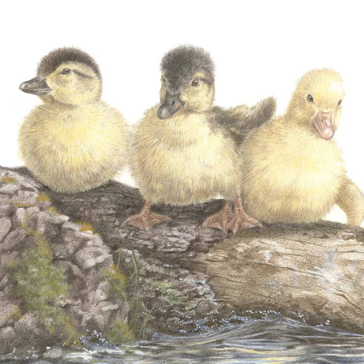 Square map - The three musketeers in consultation for wholesale by Animal Prints