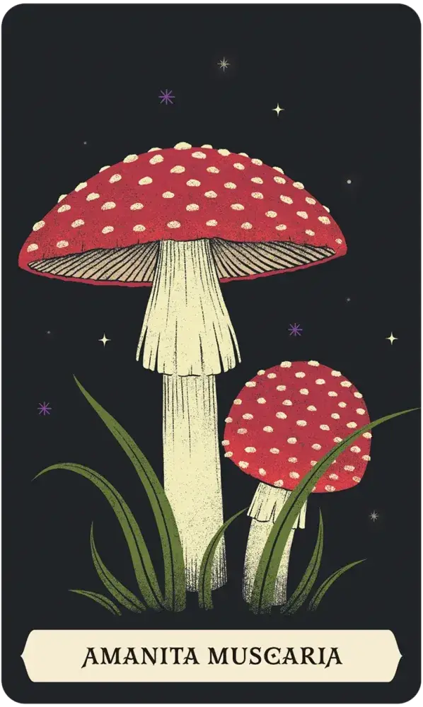 U.S. Games Systems Inc. - Wholesale Tarot Cards - The Secret Oracle of the Green Witch2