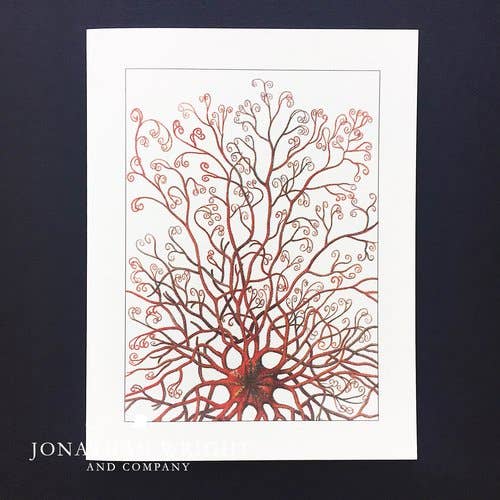 Sea Star Card for wholesale by Jonathan Wright and Company