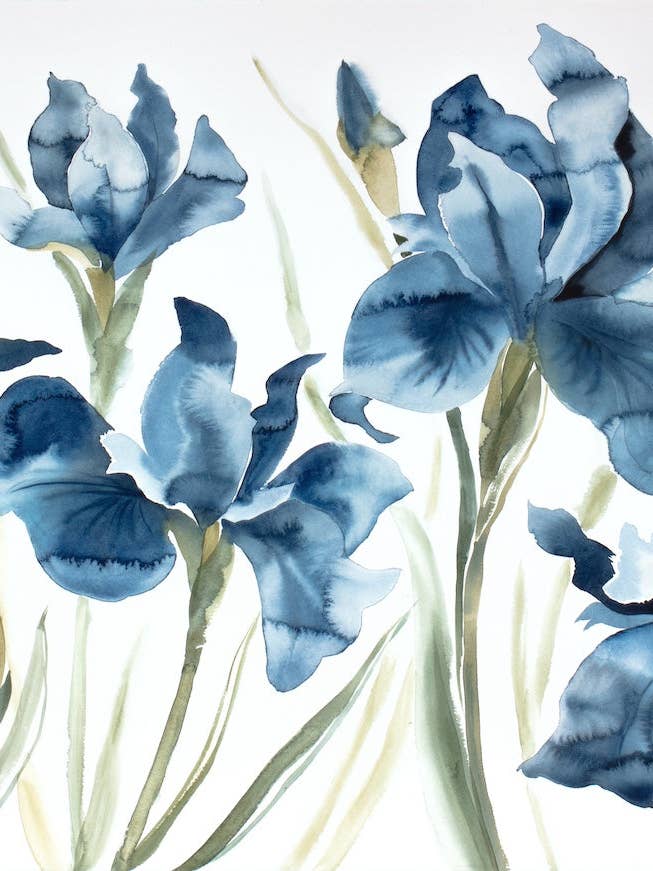 Íris n.º 3 por atacado de Elizabeth Becker