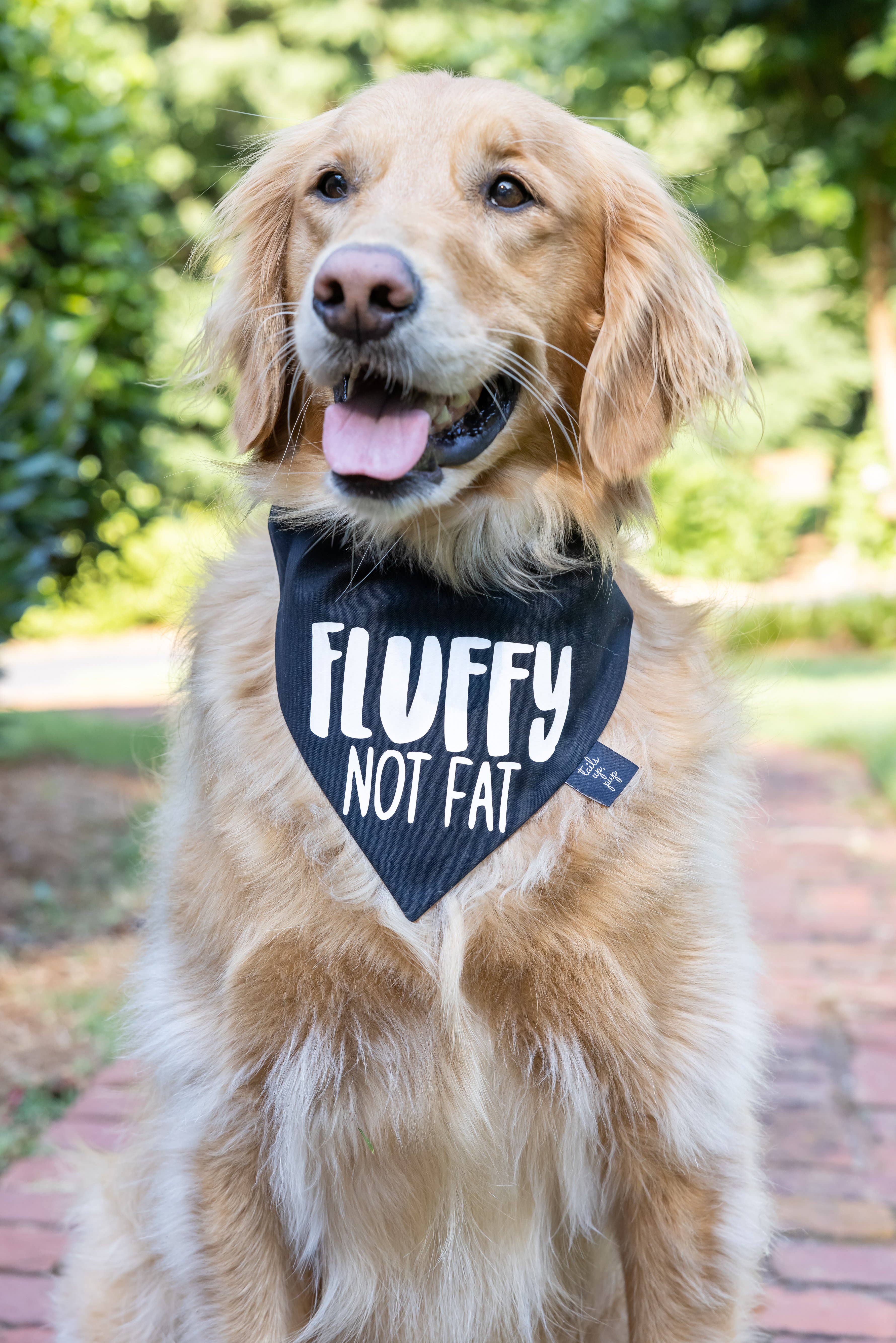 Tails Up, Pup - Wholesale Pet Bandana - Dog - Fluffy Not Fat Dog Bandana - Funny Dog Bandana
