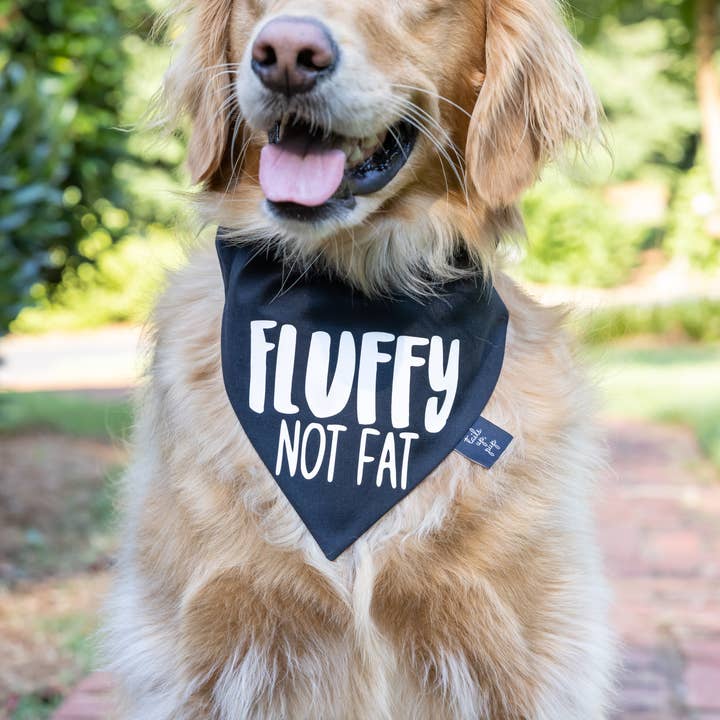 Tails Up, Pup – wholesale Pet bandana – Dog – Fluffy Not Fat Dog Bandana - Funny Dog Bandana