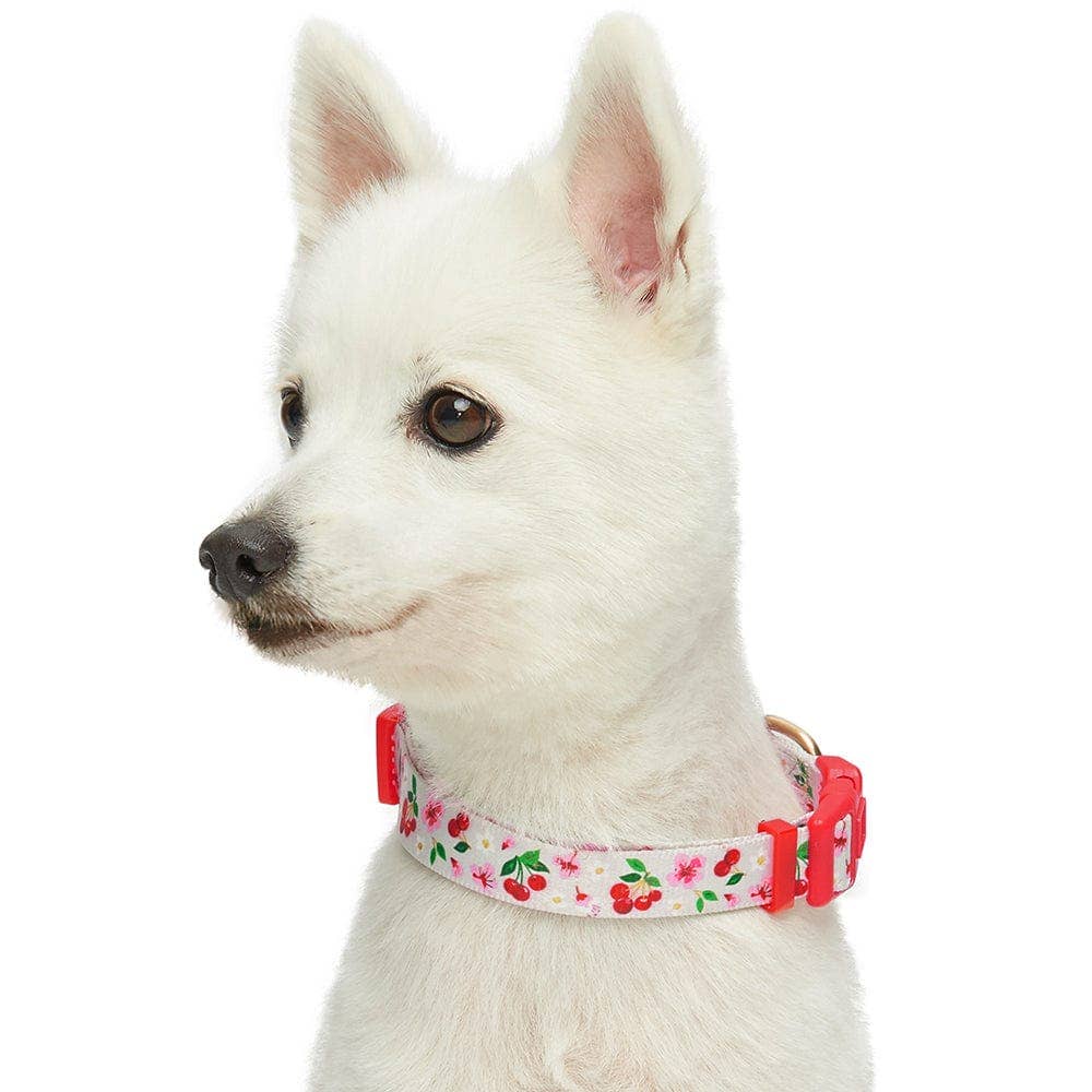 Blueberry Pet - Wholesale Pet Collar - Dog - Summer Floral Dog Collar in Pastel Colors for Girl Dogs4