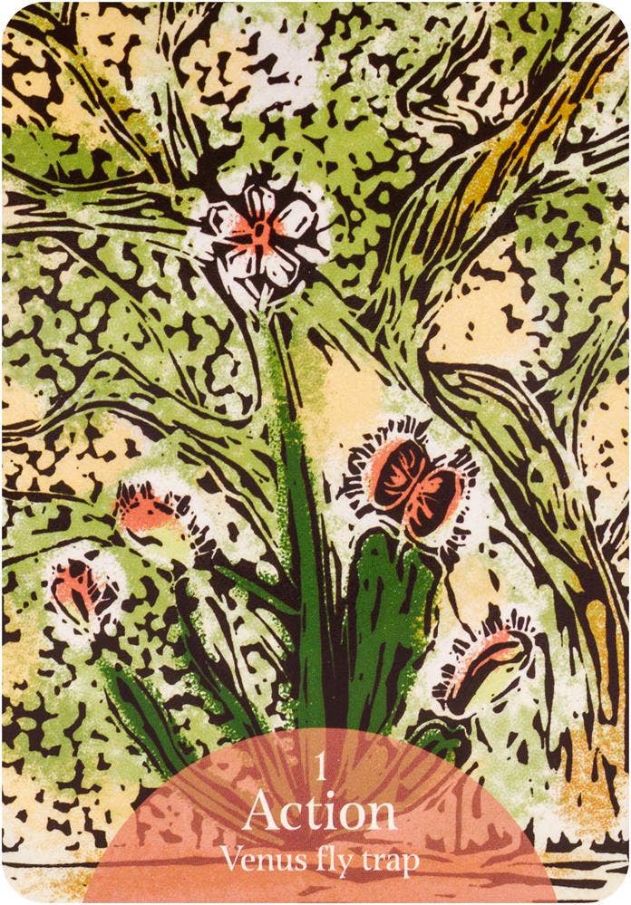 Cardshouse - Wholesale Tarot Cards - The Language Of Flowers Oracle Cards Rockpool2