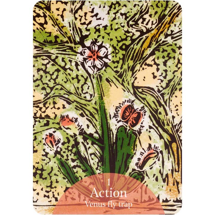 Cardshouse - Wholesale Tarot Cards - The Language Of Flowers Oracle Cards Rockpool2