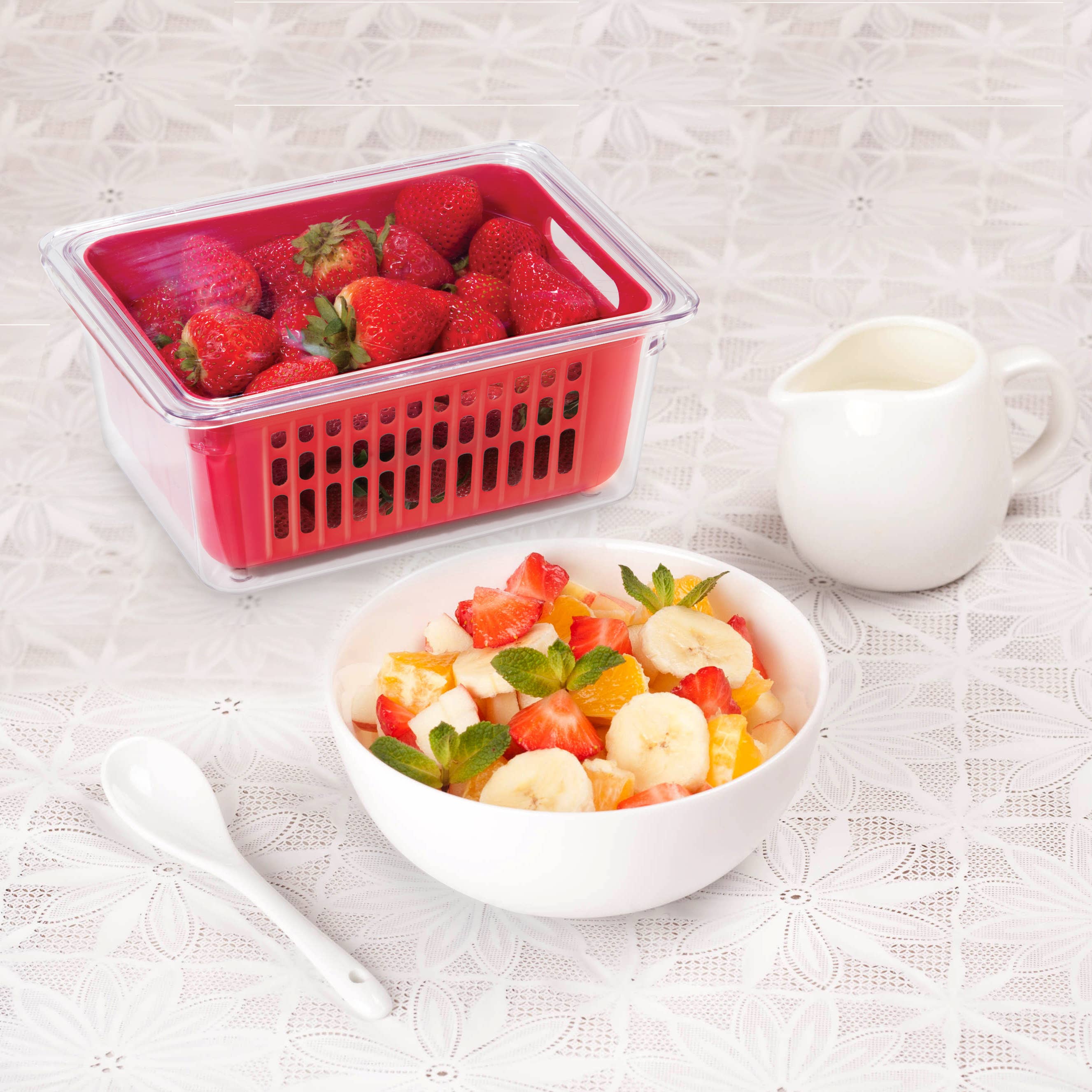 Oggi - Wholesale Food Storage Container - Berry Bin - Single (8.75" x 6.75" x 3.75")6