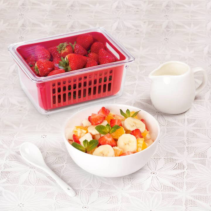 Oggi - Wholesale Food Storage Container - Berry Bin - Single (8.75" x 6.75" x 3.75")6