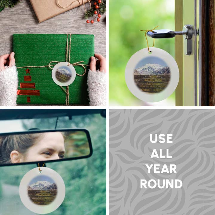 3dRose - Wholesale Ornament - 3dRose, Argentina, Parque Provincial Aconcagua, Mountain - SA01 JRI0122 - Jutta Riegel, Ornament4