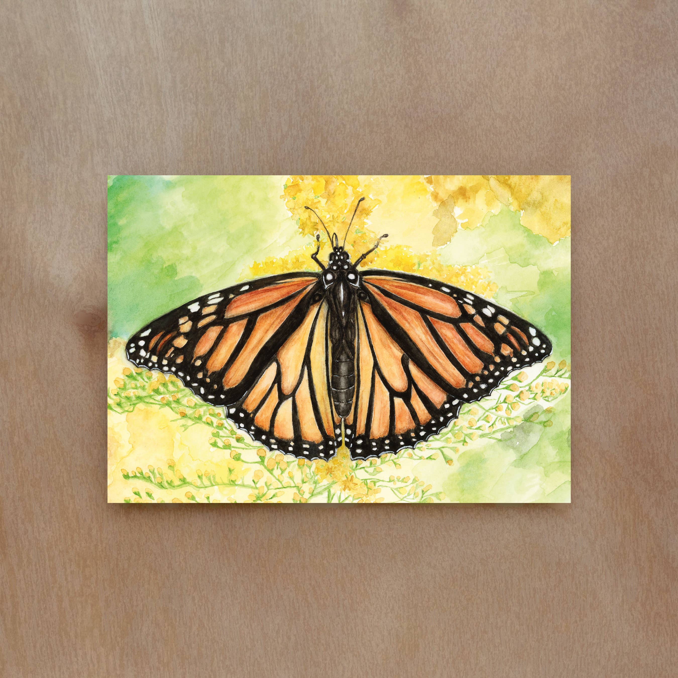 Rachael Bee Artwork - Wholesale Everyday Greeting Card - Monarch Butterfly Greeting Card1