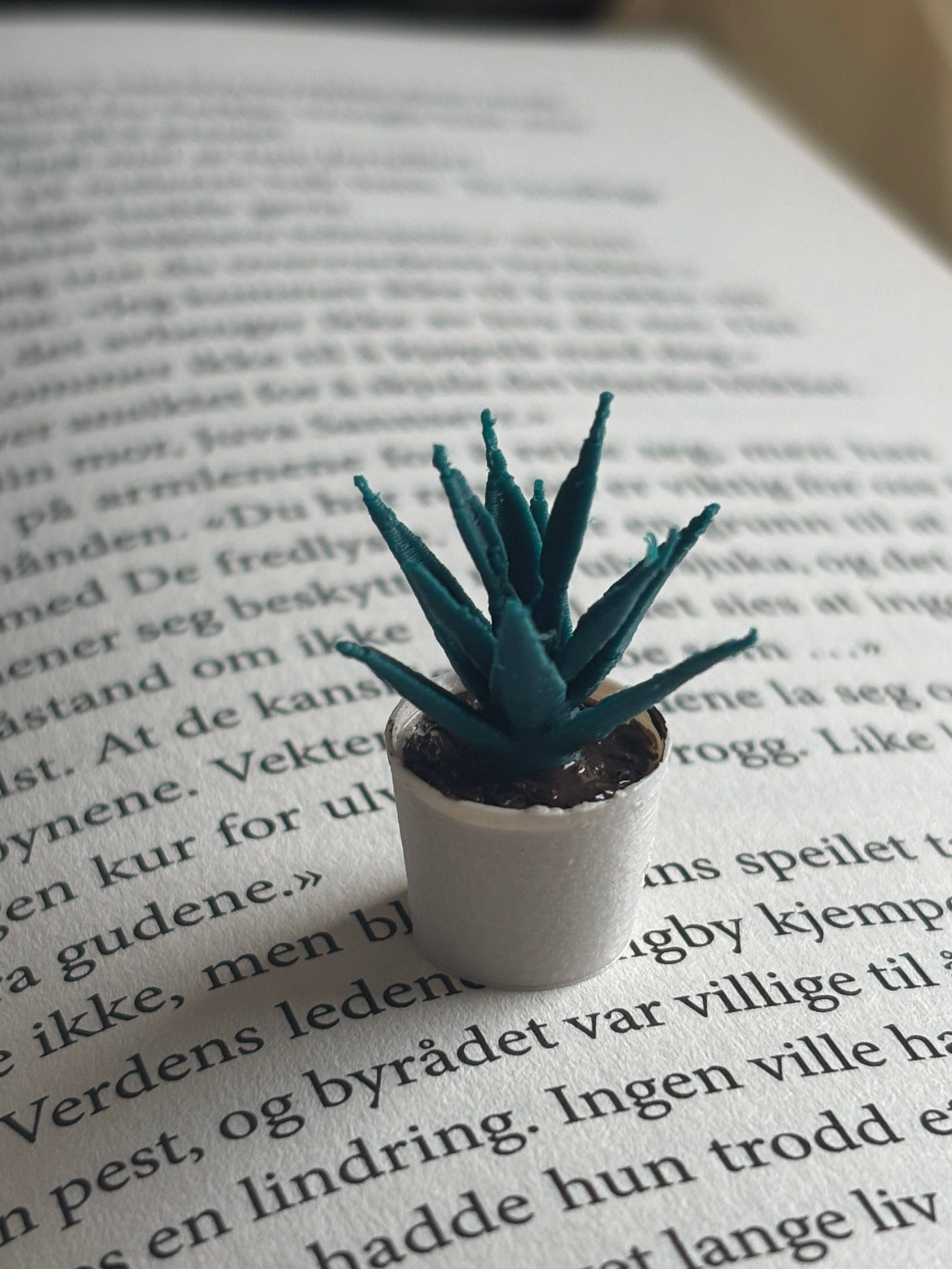 Nordic Book Adventure - Wholesale Decorative Tabletop Object - Mini Aloe Vera Plant To Miniature Bookshelf 2