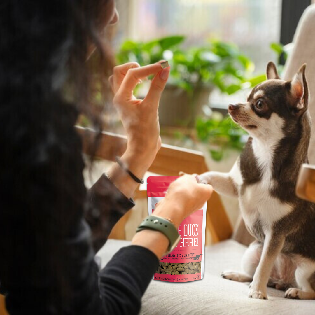 The Granville Island Pet Treatery (USA) - Wholesale Pet Treats - Dog - Duck & Cranberry Soft Dog Treats: Chewy & All-Natural3