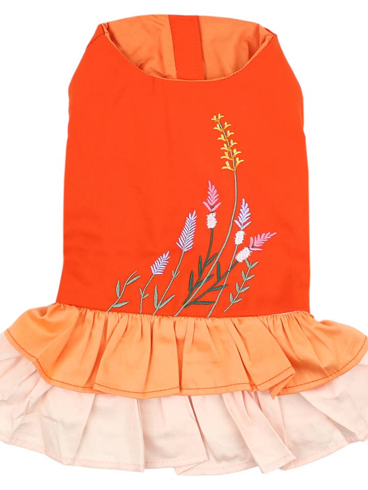 Farbblock-Gartenkleid – Niedliche Haustierbekleidung für den Großhandel von Parisian Pet®