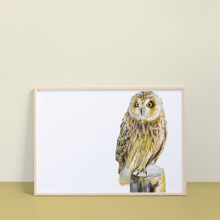 Lámina artística con búho orejudo para venta al por mayor de resetreality