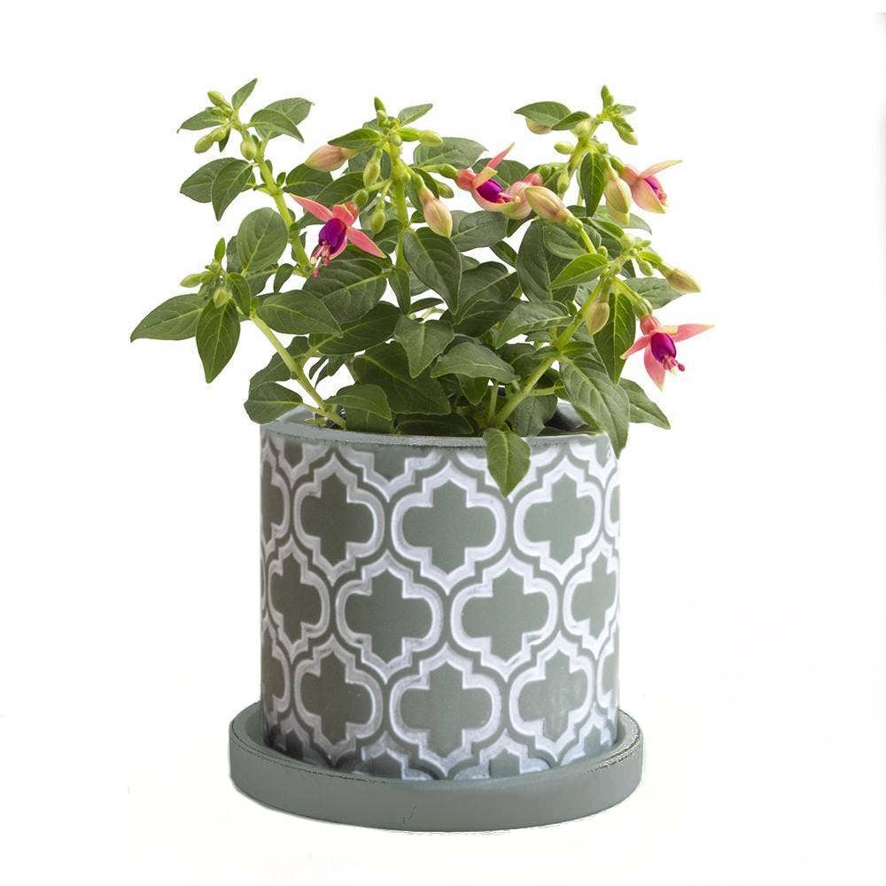 Chive UK - Wholesale Plant Pot - Balter Pot with Saucer for Houseplants, Cacti, Succulents18