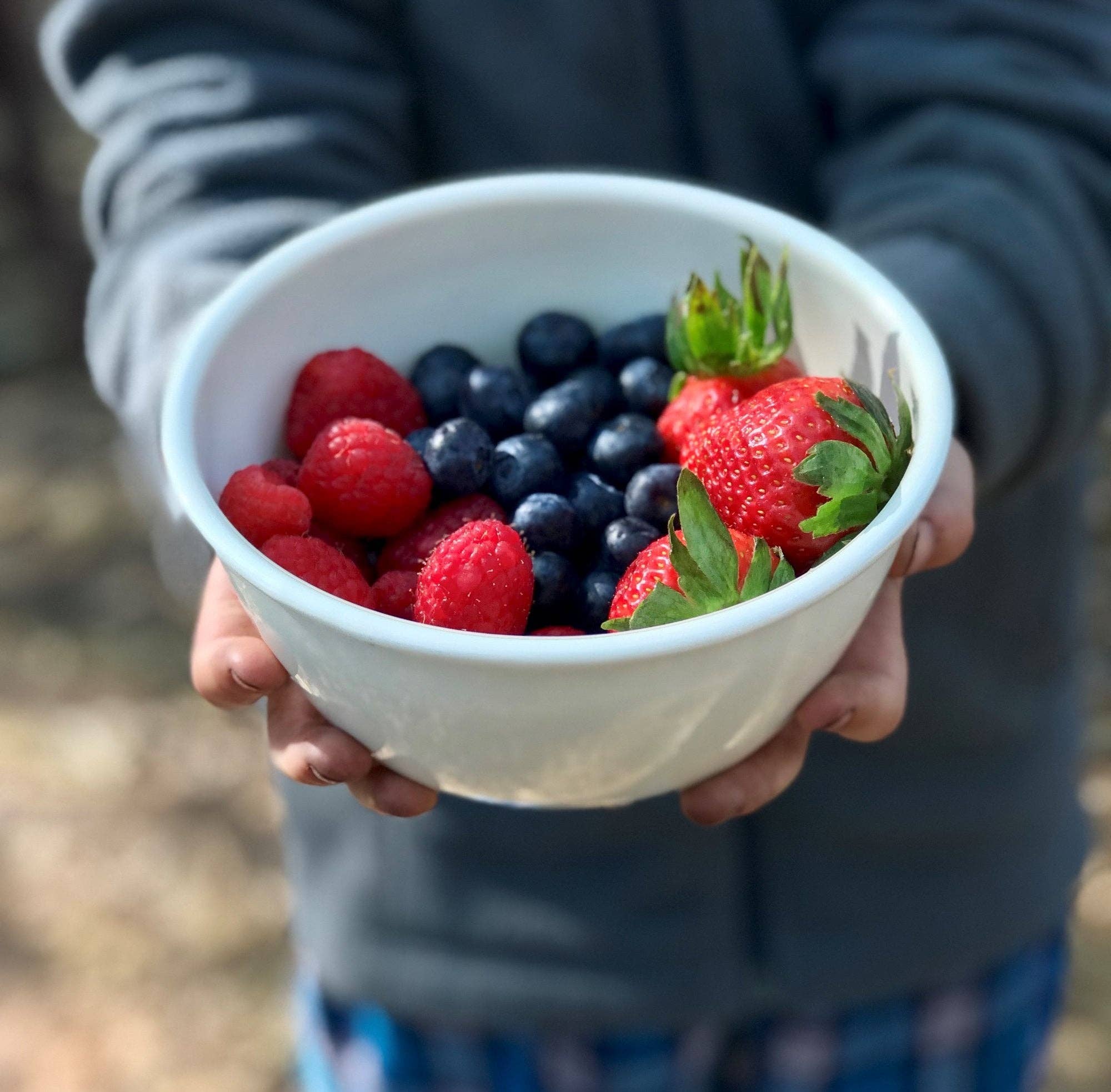 Crow Canyon Home - Vente Bol - Ensemble de 4 bols en émail crème roulé Golden Rabbit4