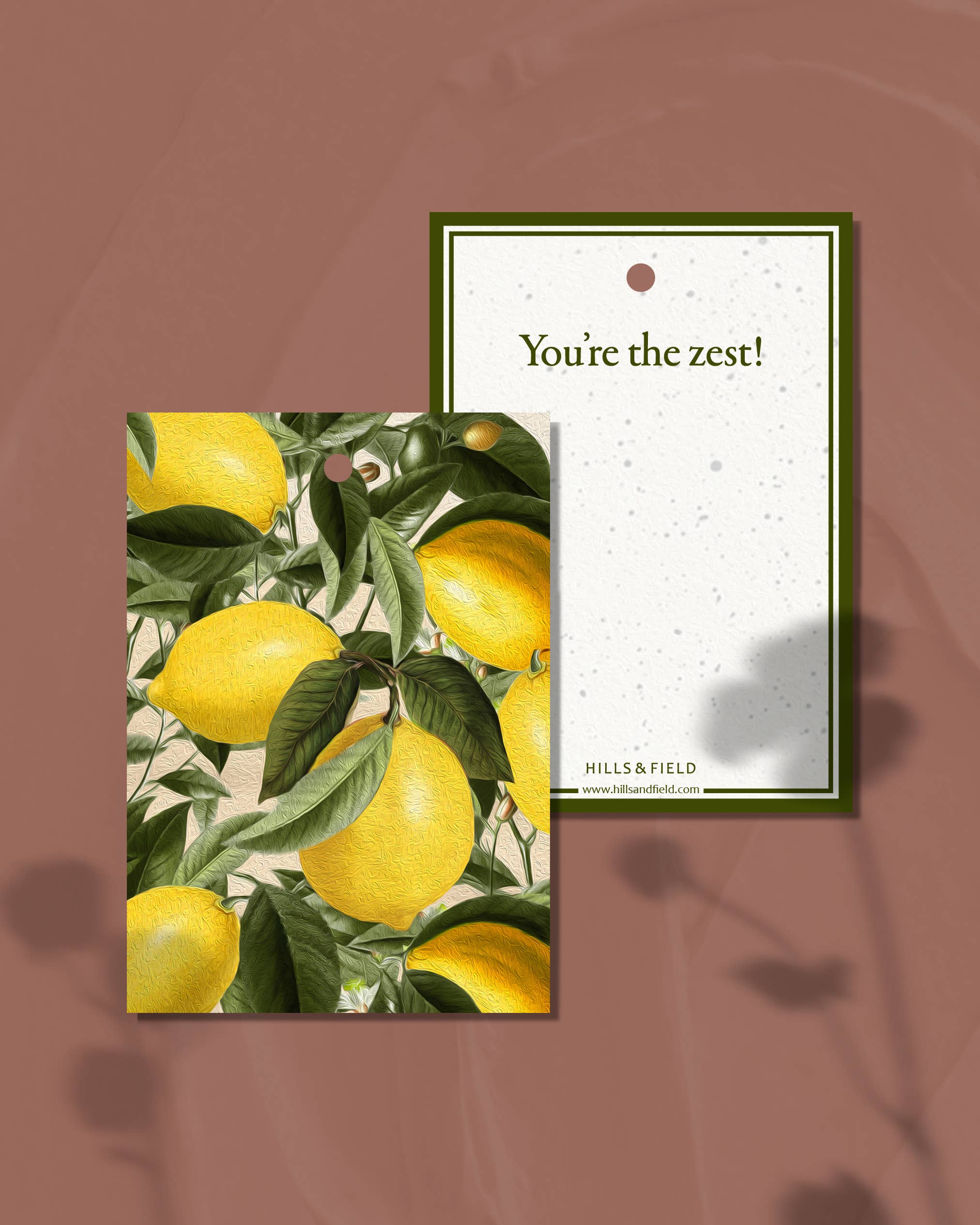 Hills & Field – Cartão de presente por atacado – TAQUETA DE OFERTA | Você é o zest0