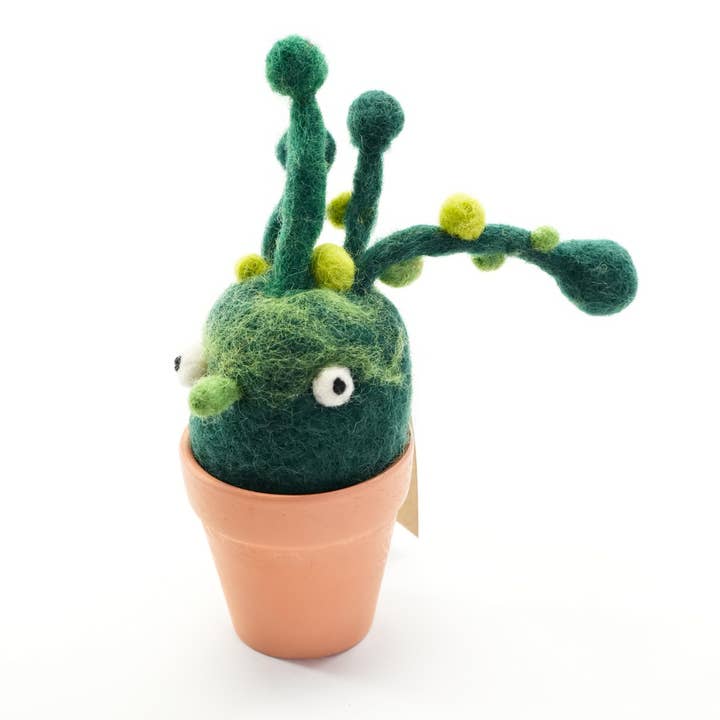 Woolbuddy - Wholesale Ornament - Bean Bean Plant (premade)