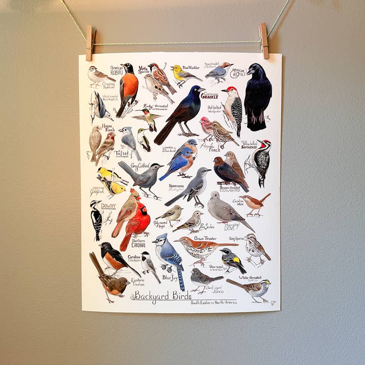Backyard Birds of South Eastern North America for wholesale by River Thrush Studio
