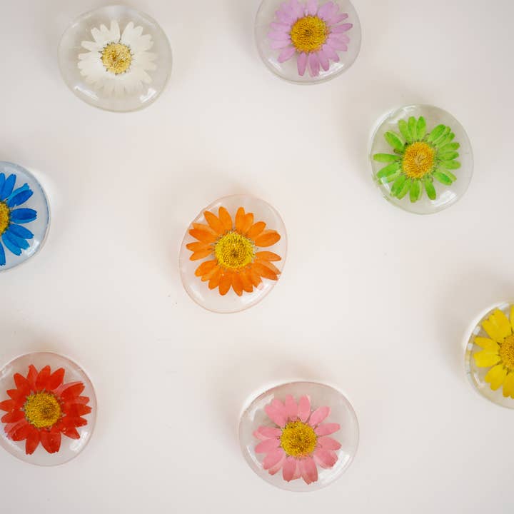 Sunnie Lane - Wholesale Magnet - Real Flower Magnet - Glass Magnet