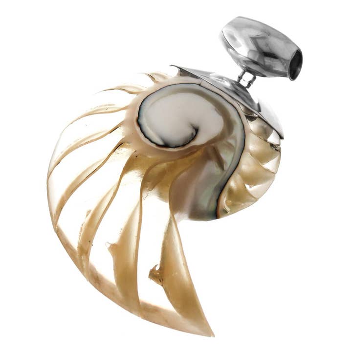 FifiRose - Vente Colliers à pendentif - Pendentif en argent sterling 925 en forme de coquille de nautile ouverte, 6 cm.1