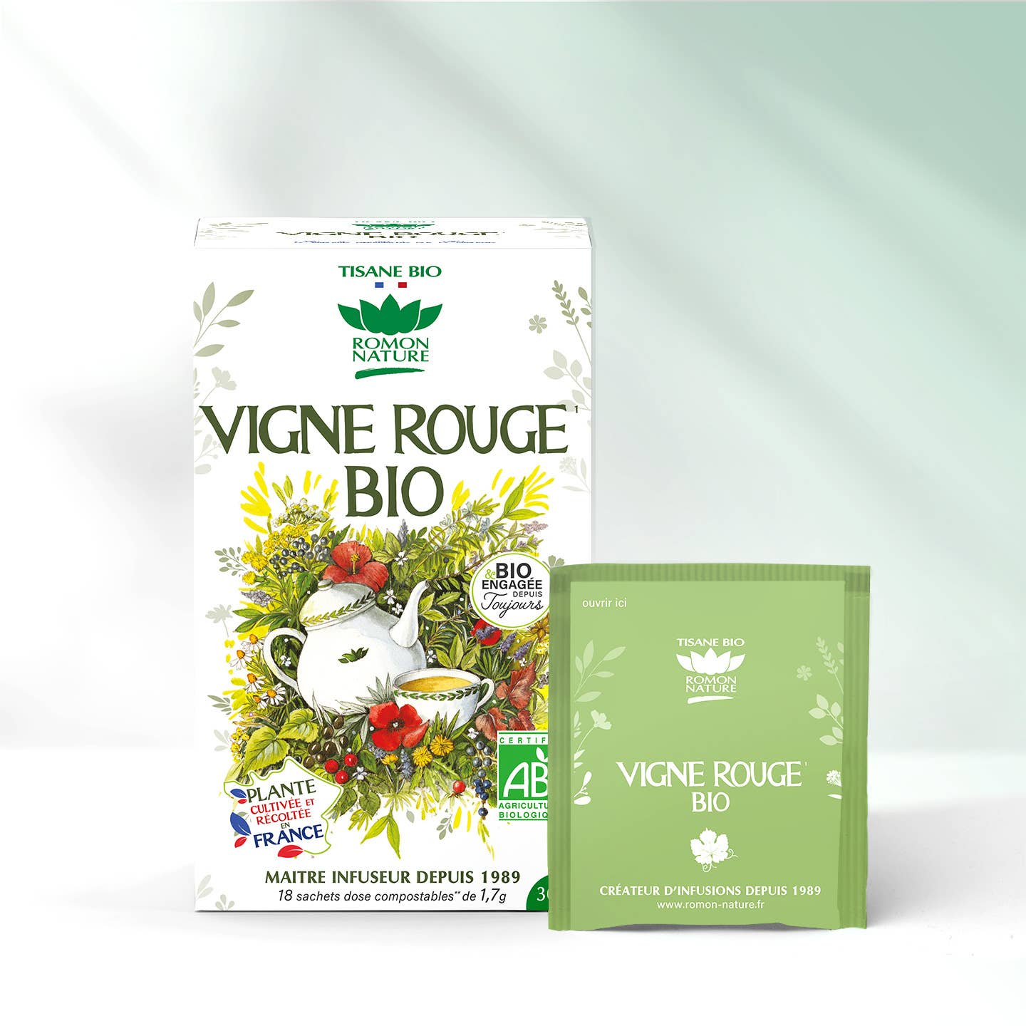 PROVENCE D'ANTAN - Wholesale Health/Detox Tea - Red Vine Infusion France Organic*1