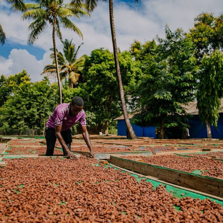 Dick Taylor Craft Chocolate - Wholesale Chocolate - 65% Tanzania, Kilombero Dark Chocolate
