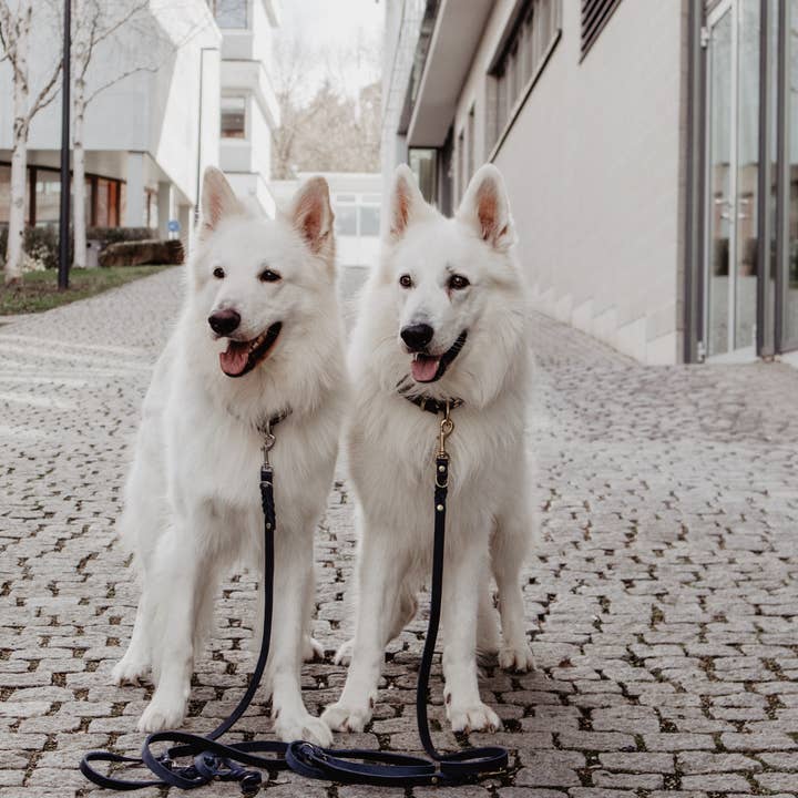 Molly and Stitch - Wholesale Pet Leash - Dog - Butter Leather 3x Adjustable Dog Leash - Navy Blue11