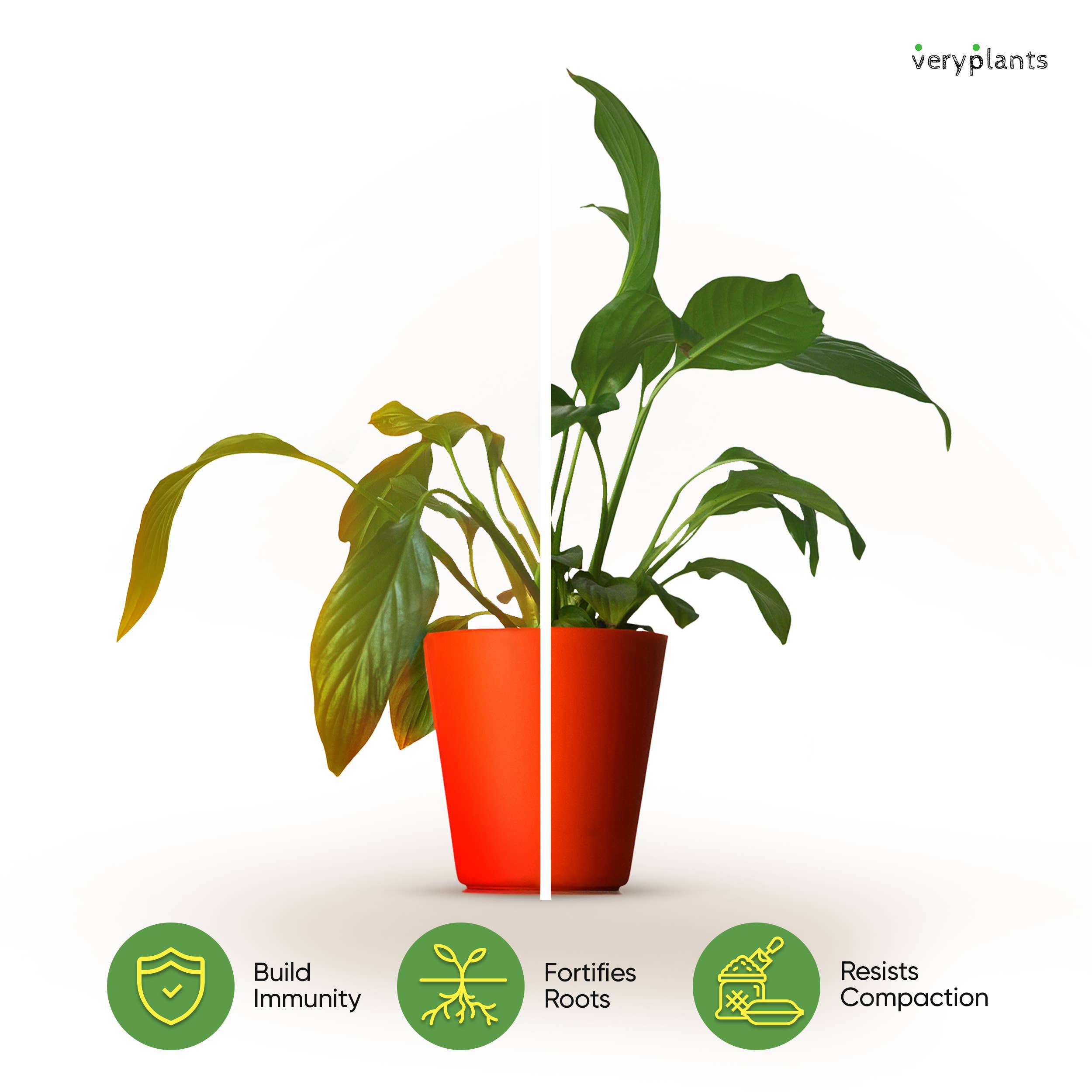 Veryplants US LLC - Wholesale Planting/Potting Soil - Molly's Aroid Mix - Premium Soilless Potting Mix - 1 Cu Ft1